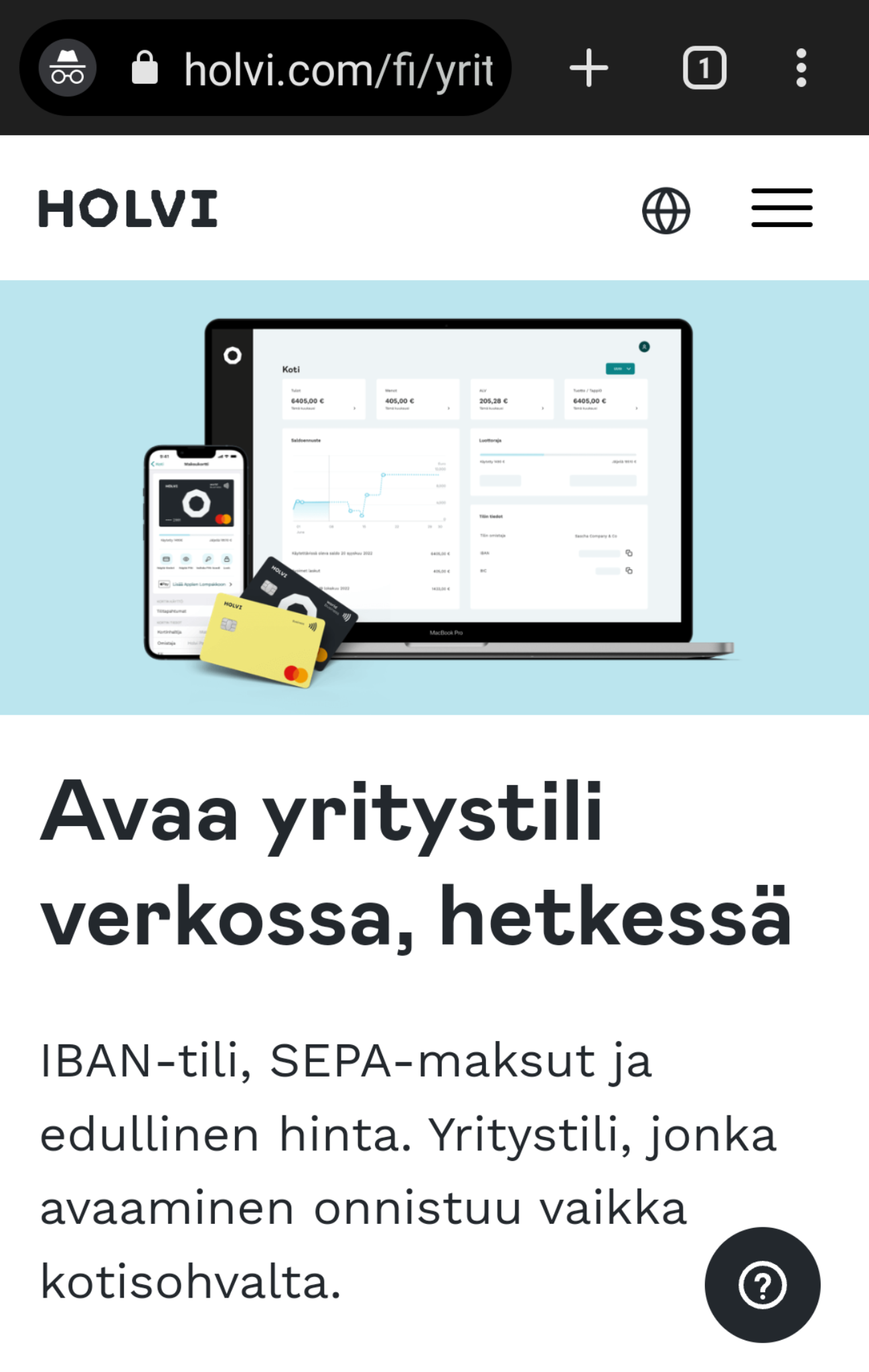 Epäeettinen mainonta à la Holvi