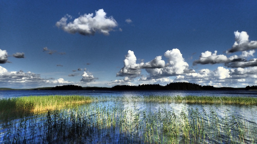 Purnu, Längelmäveden rannalla Orivedellä. 